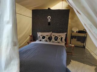 Glamping Casa Soarelui - 7