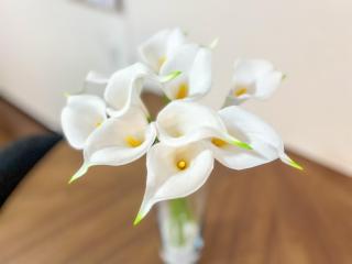 OUCHI HOTEL Hatchobori - Hiroshima - 5