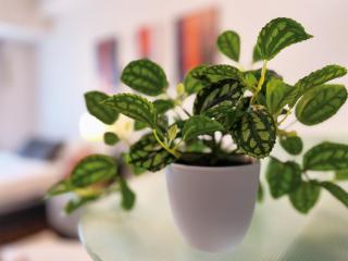 OUCHI HOTEL Hatchobori - Hiroshima - 9