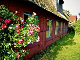 Landwohnung in Nieby 300m von der Ostsee entfernt! - Nieby - 0