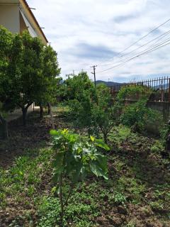 Guest House Edison - Berat - 6