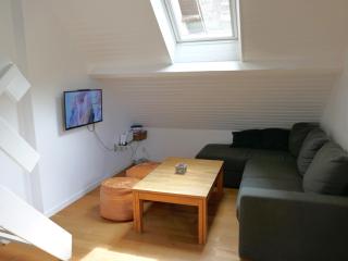 Appartement hypercentre 6 pers - Luchon - 3