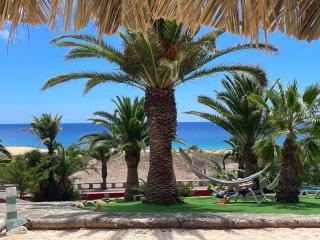 Porto Santo Destination - Porto Santo - 4