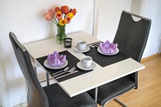 Ferienwohnung Lehen - Herr 2 - Friburgo em Brisgóvia - 3