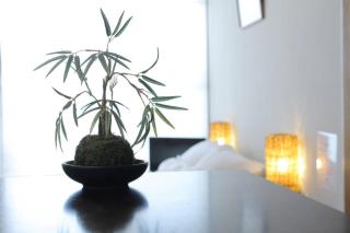 Dai3Himawari - Best location ! 1 min walk to Peace Park Dome -701 - Hiroshima - 2