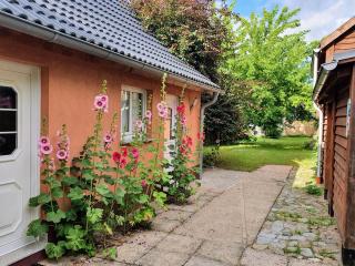 Ferienhaus Moewe - Hanshagen - 8