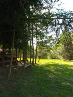 Dom Wakacyjny Brzozowy Gaj Bieszczady - - 4
