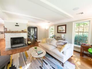 Beautiful House In The Woods Huge Yard Hot Tub - Great Barrington - 9