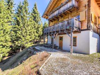 1A Chalet Enzianhuette - Wandern und Indoor Sauna - Elsenbrunn - 1