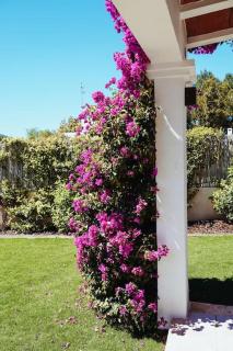 Villa 4 Palms only 5 minutes from Ibiza - Montecristo - 6