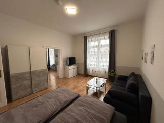 Paky Appartements 00210 - Vienne - 7