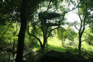 Tenpy Tiny Cozy Mowgli at Kipling Farm, Bangalore - Kaglipur - 4