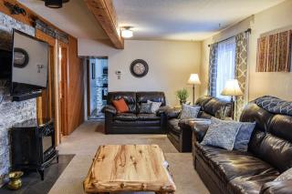 Hen House A Cozy Victorian Escape - Leadville - 4