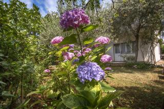 Apartment Renata - Umag - 7