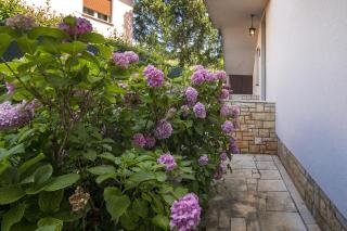 Apartment Renata - Umag - 6