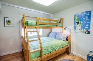 Mountain Bluebell Cabin - Leadville - 6