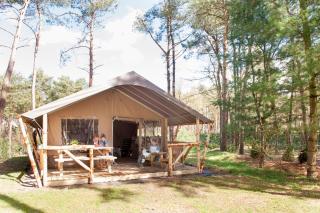 Safaritent - Alphen - 0