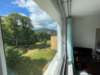 NOVÝ HORSKÝ APARTMÁN v Jizerských horách - Hejnice - 4