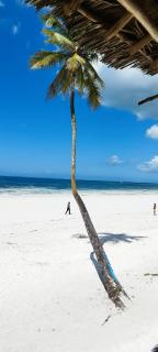 Santa Rita lodge - 0