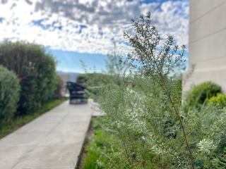 HOM I Loft Jardín I Mirador Baron I Parking I Piscina - 7