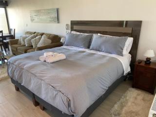 HOM I Amplio Studio a estrenar en Condominio con Terraza 173 - Valparaíso - 6