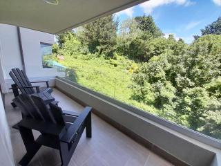 HOM I Espectacular Depto 2D2B Frente al Lago y Parking - Puerto Varas - 5