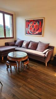 Big & calm familial apartment with balcony, car parking and free wifi - 9