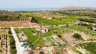 Adayel Bagevi & Butik Otel - Bozcaada - 5