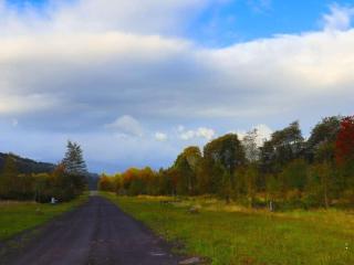 HOM I Cabaña La Ensenada vista parcial al Volcán - 7