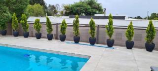 HOM I Casa en Condominio Alto Lomas a 3min de Marbella con Piscina y Jacuzzi - Maitencillo - 7