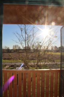 Die Presserei- Kellerstöckl - 3