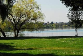 Greenlake Little Oasis - Seattle - 2