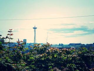 Eastlake Escape - Cascade - Seattle - 1
