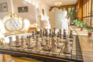 Majestic Villa in Hills of Florence with Gardens Gym Jacuzzi and Sauna - Fiesole - 3