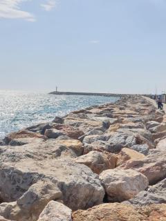UN CHALET A LA MER - Saint-Cyprien - 2