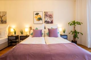 Spacious Apartment near Messe - Special EINSTEIN IIV Apartment, Basel, up to 6 guests - Basel - 9