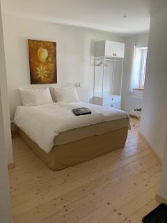 Ankogel Lofts Mallnitz - Mallnitz - 1