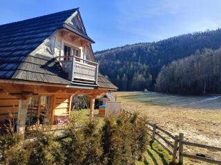 Domek Trzy Doliny Zakopane - Three Valleys Chalet Grill&Jacuzzi - Zakopane - 6