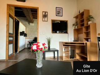 Au Lion d'Or - Les Roches-lʼÉvêque - 3