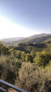Un piccolo Paradiso nel Chianti più selvaggio - Greve in Chianti - 2