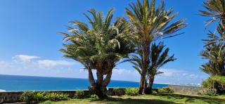 Monte del Moro OCEAN VIEW - San Agustin - 5