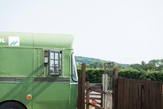 Swallowfield Glamping-The Last Stop - 1