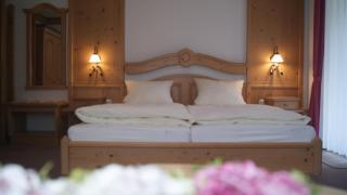 Gasthof zur Burgruine - 4