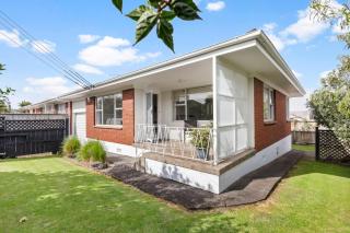 Sunny Spacious Park-side Pad - Auckland - 0