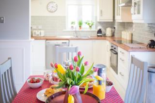 Pink Blossom - Clifden - 9