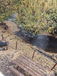 Cabaña soñada sobre el arroyo con dos dormitorios - 2