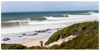 TreeHouse Cottage - Jeffreys Bay - 1