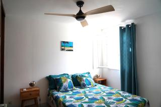 Dodo Coconut lagon Ermitage - 1