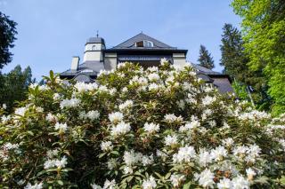 Villa Pepita - Miedzygorze - 5