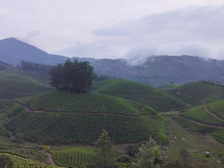 Sunrise Vista - Devikolam - 2